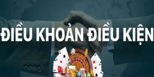 điều khoản và điều kiện